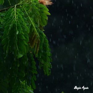 看全色黄大色大片免费久久
